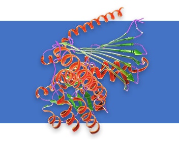Rekombinante Proteine
