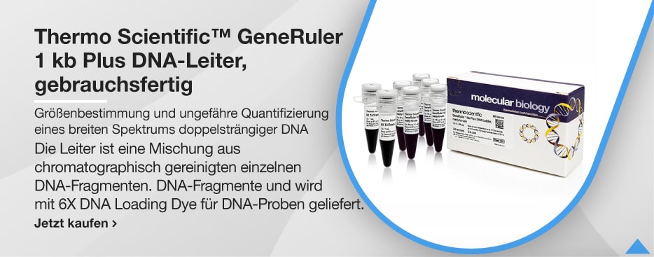 Thermo Scientific™ GeneRuler 1 kb Plus DNA-Leiter, gebrauchsfertig