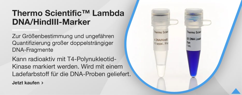 Thermo Scientific™ Lambda DNA/HindIII-Marker