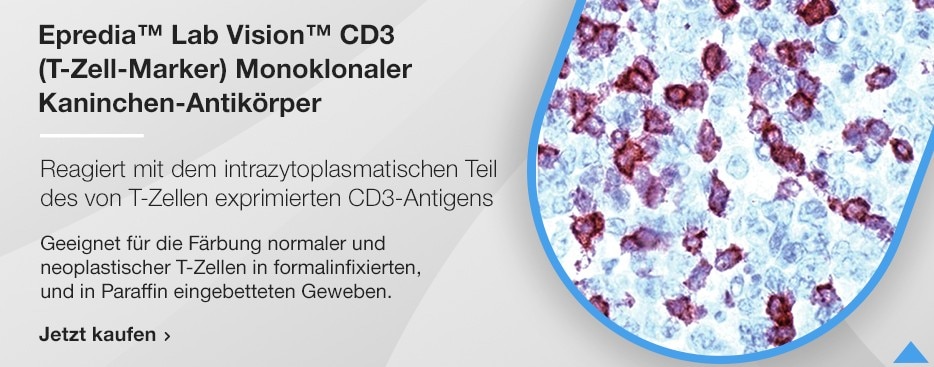 Epredia™ Lab Vision™ CD3 (T-Zell-Marker) Monoklonaler Kaninchen-Antikörper