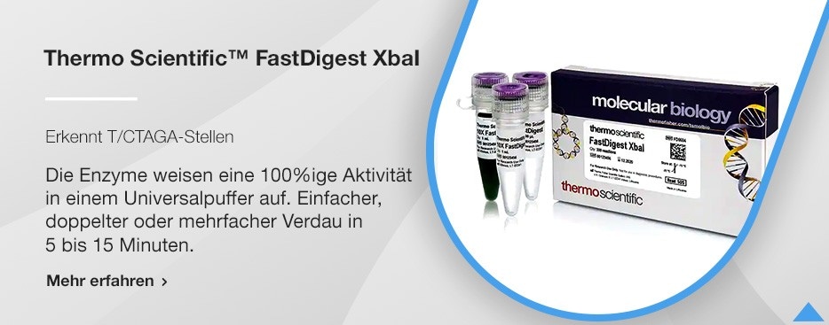 Restriction Enzymes