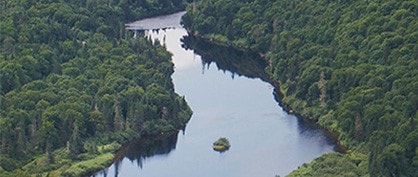 Amazonas: Das Herz von Mutter Erde