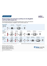 Vorverarbeitungs- und Extraktions-Workflows für das MagMAX Cell-Free DNA Isolation Kit